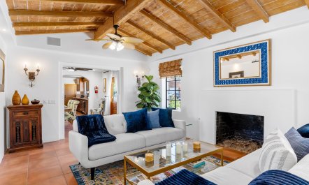 Pampas & Palms 6