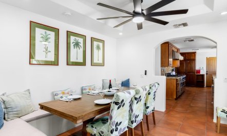Pampas & Palms 8