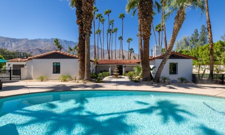 Pampas & Palms 2