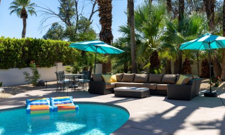 Pampas & Palms 5