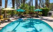 Pampas & Palms 3