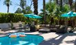 Pampas & Palms 5