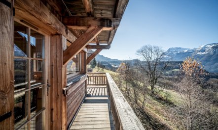 Alps Altitude 1