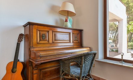 Monte Orello Calm 5
