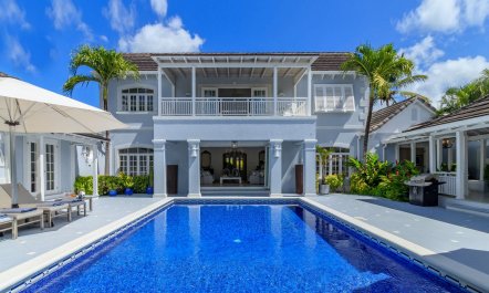 Palace Amongst the Palms
