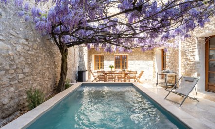 Wisteria & Vaults 1