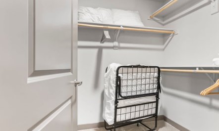 RoRo Reverie 9