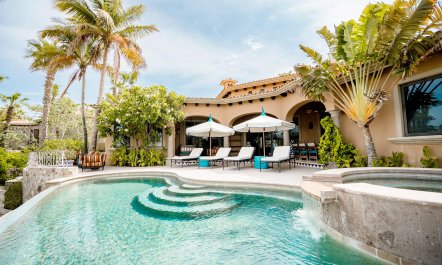 Palms Over Pool