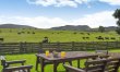 3 Bed in Balfron 1