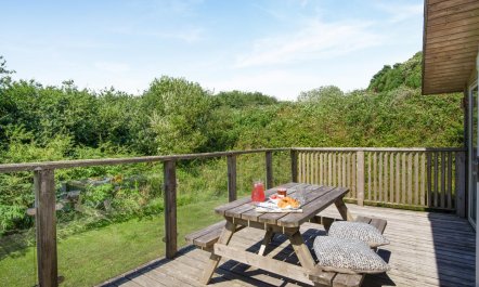 3 Bed in Carnmenellis 5