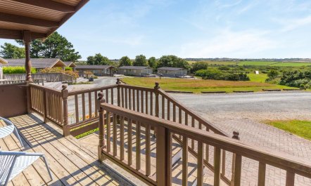 3 Bed in Carnmenellis 7