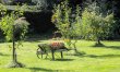1 Bed in North Perrott 6