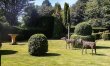 1 Bed in North Perrott 4