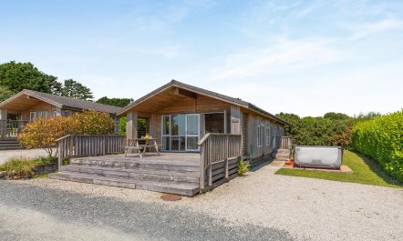 2 Bed in Carnmenellis 5