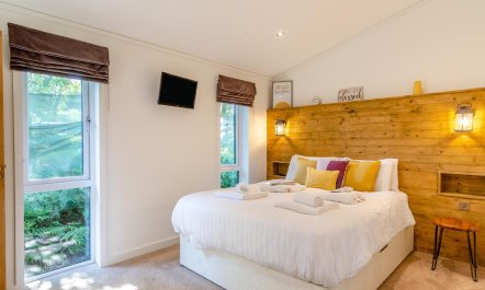 2 Bed in Carnmenellis 6