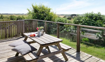 3 Bed in Carnmenellis 1