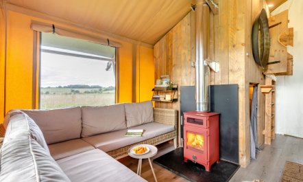 4 Bed in Appledore 7