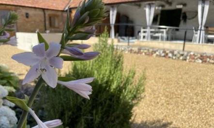 3 Bed in Sparham 5