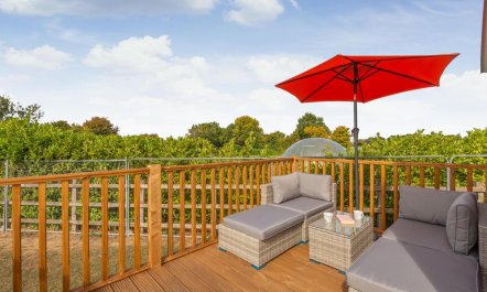 1 Bed in Hemel Hempstead 9