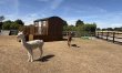 1 Bed in Hemel Hempstead 1