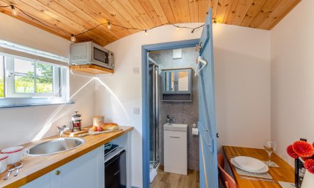 1 Bed in Carnmenellis 4