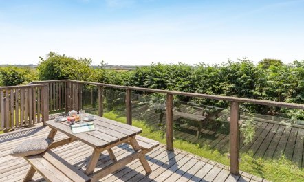 3 Bed in Carnmenellis 6