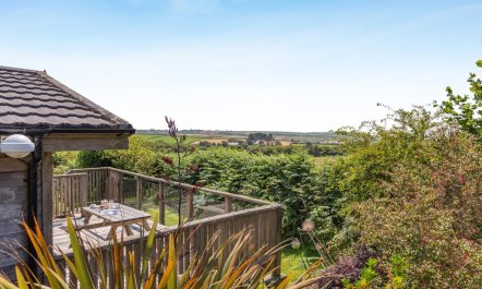 3 Bed in Carnmenellis 1