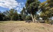 1 Bed in Lakenheath 8