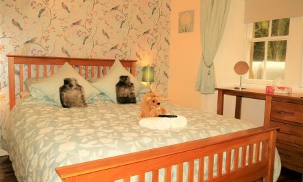 1 Bed in Stranraer 6