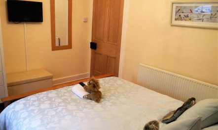 1 Bed in Stranraer 8