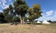 1 Bed in Lakenheath 3