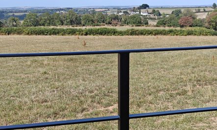 1 Bed in Stoodleigh 6
