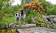3 Bed in Kippford 1