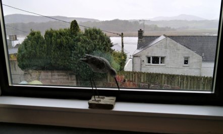 2 Bed in Kippford 2