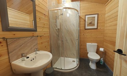 1 Bed in Talgarreg 5
