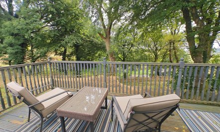 1 Bed in Talgarreg 7