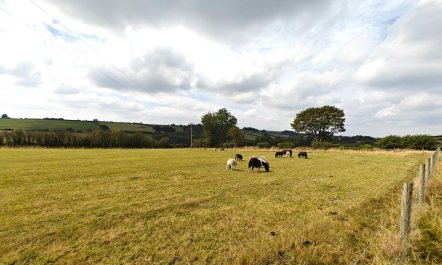 1 Bed in Talgarreg 8