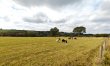 1 Bed in Talgarreg 8