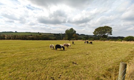 1 Bed in Talgarreg 8