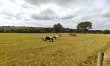 1 Bed in Talgarreg 8