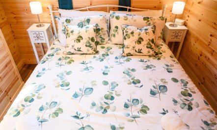 2 Bed in Whithorn 6