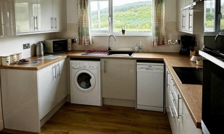 3 Bed in Newton Stewart 5