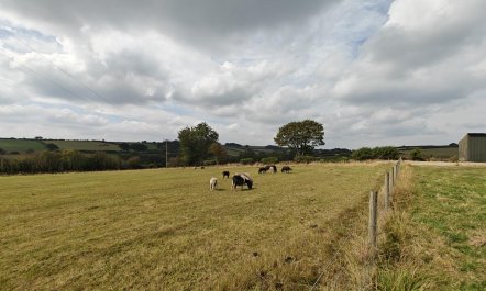 2 Bed in Talgarreg 7