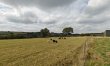 2 Bed in Talgarreg 7