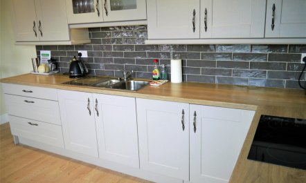 3 Bed in Rockcliffe 8