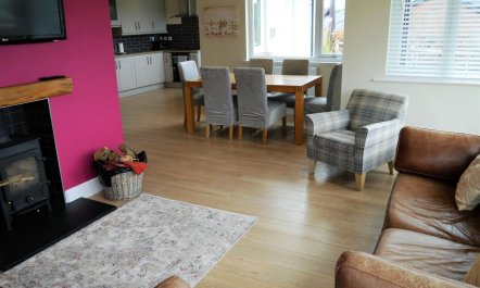 3 Bed in Rockcliffe 5