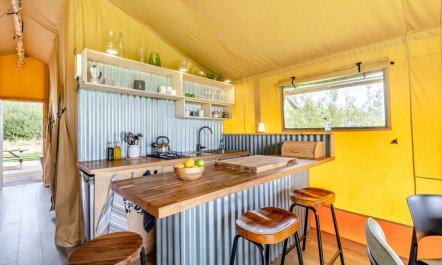 4 Bed in Appledore 6