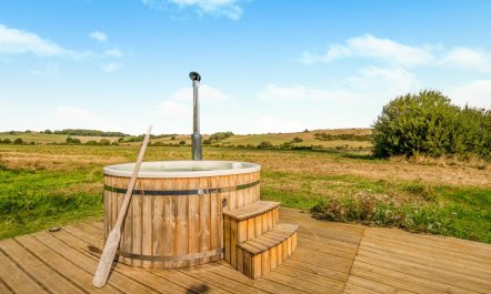 4 Bed in Appledore 2