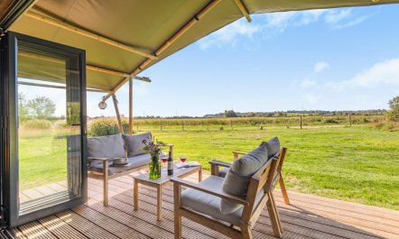 4 Bed in Appledore 9