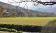 3 Bed in Aberfeldy 2